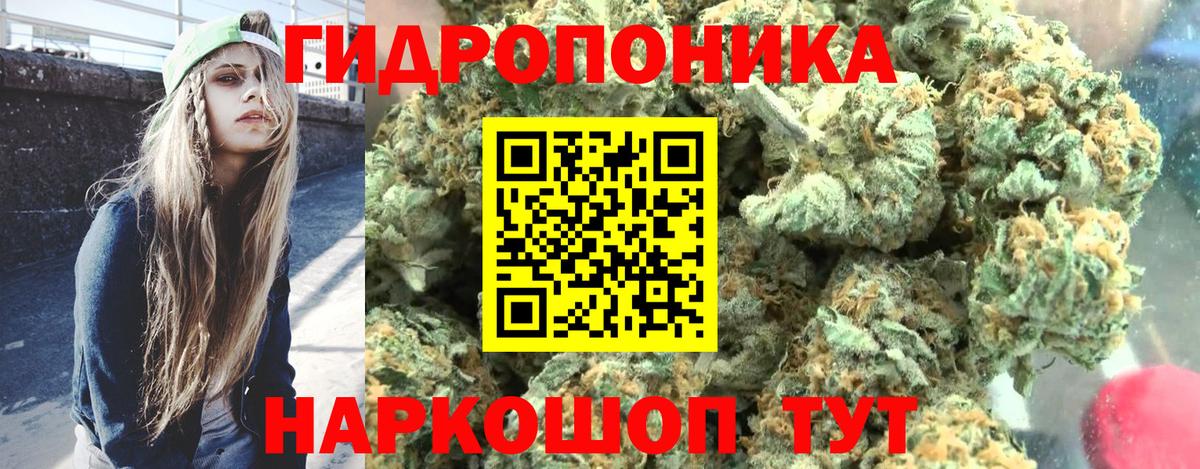 Шишки марихуана SATIVA & INDICA  МАРИХУАНА семена  Конопля AK-47  Вход с VPN  Бошки марихуана AK-47  Мирный 